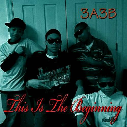 3A3B - This Is The Beginning cover