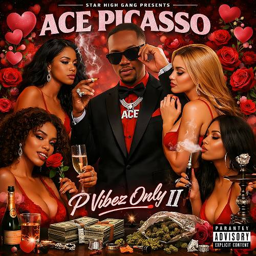 Ace Picasso - P Vibez Only II cover