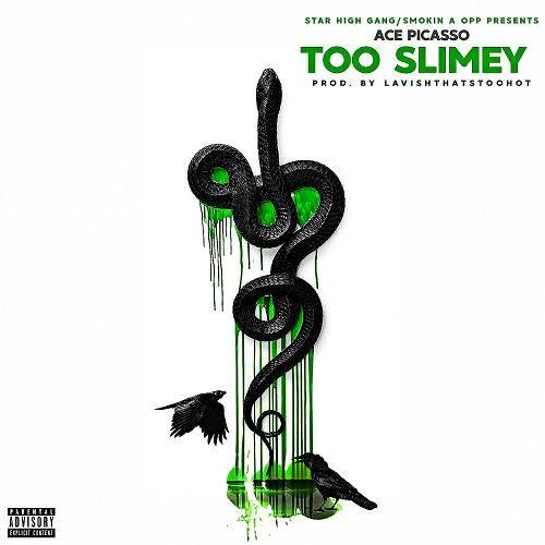 Ace Picasso - Too Slimey cover