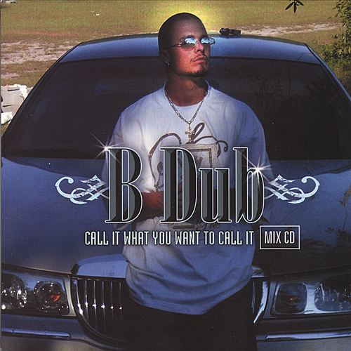 B-Dub - Call It What You Want To Call It cover