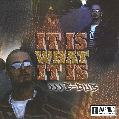 B-Dub - It Is What It Is cover