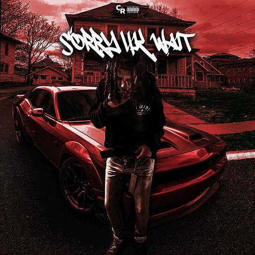 Baby Hemi - Sorry 4k Wait cover