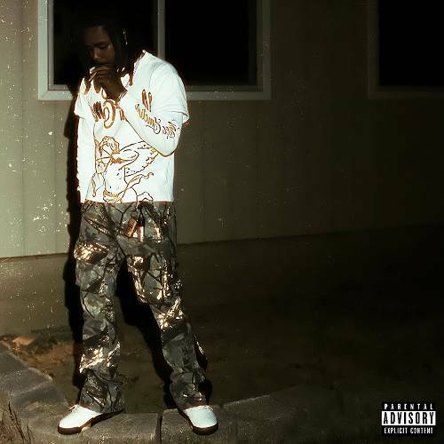 Bankstar - The Phoenix cover