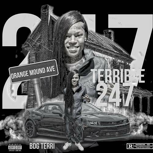 BDG Terri - Terrible 247 cover