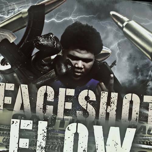 Big Faceshot - Faceshot Flow cover