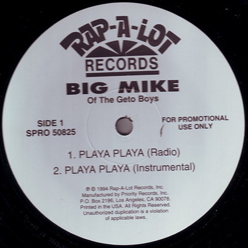 Big Mike - Playa Playa (12'' Vinyl, Promo) cover