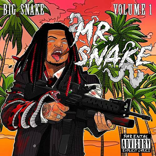 Big Snake - Mr. Snake cover