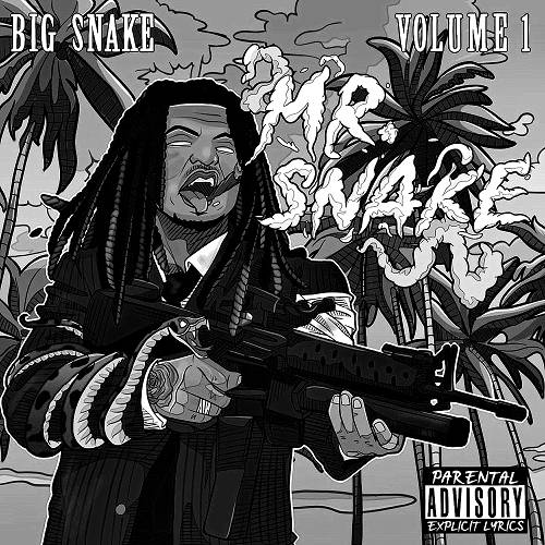 Big Snake - Mr. Snake Deluxe cover