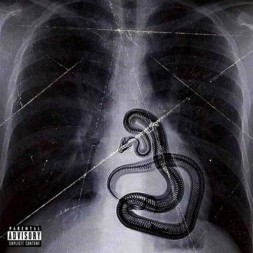 Big Snake - We Love You Snake cover