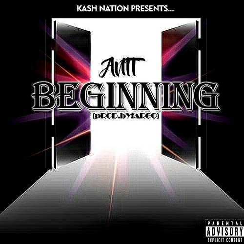 Antt - The Beginning cover