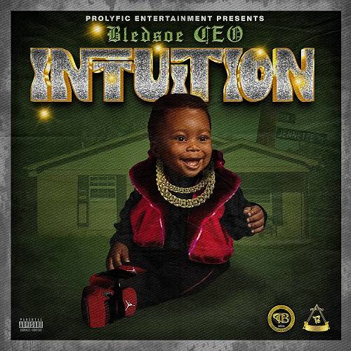 Bledsoe CEO - Intuition cover
