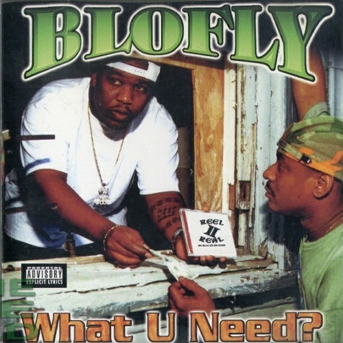 Blofly - What U Need? cover