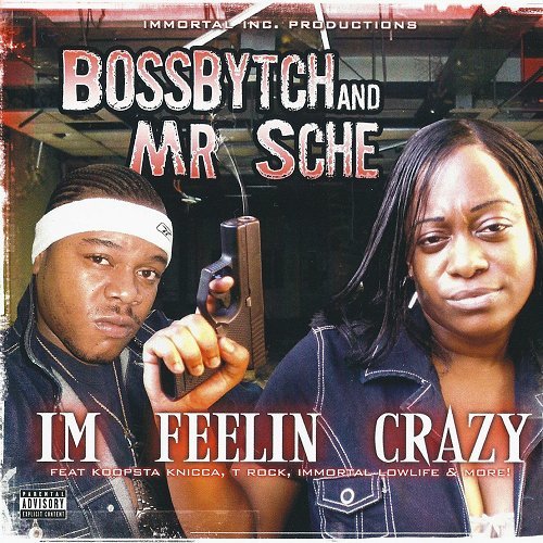 Boss Bytch & Mr. Sche - Im Feelin Crazy cover