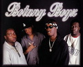 Botany Boyz photo