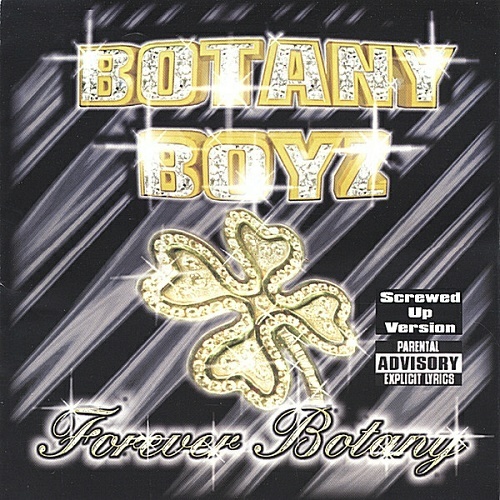 Botany Boyz - Forever Botany (screwed up version) cover