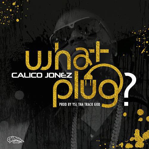 Calico Jonez - What Plug? cover