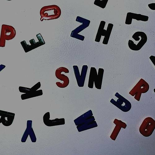 Call Me Svn! - SVN cover