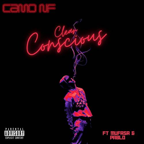 Camo NF - Cleared Concious cover