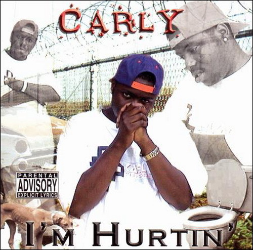 Carly - I`m Hurtin` cover