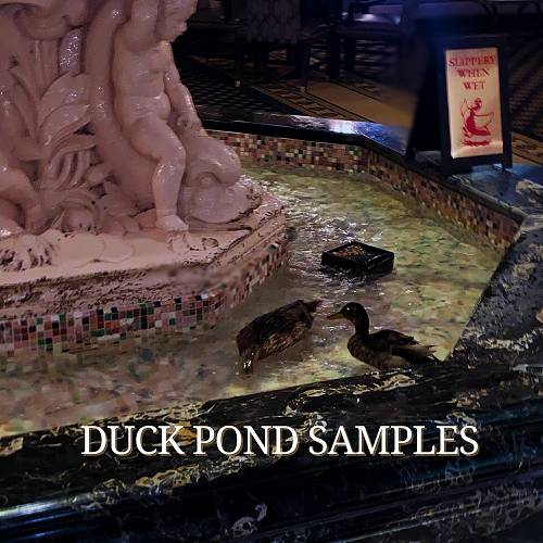 CBee SUPREME - Duck Pond Samples cover