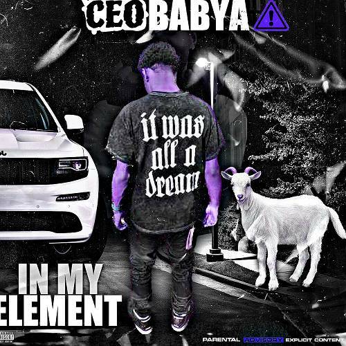 CEO BabyA - In My Element cover