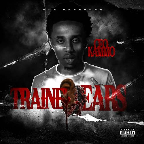 CeO KammO - Trained Ears cover