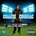 Coach Cognac photo