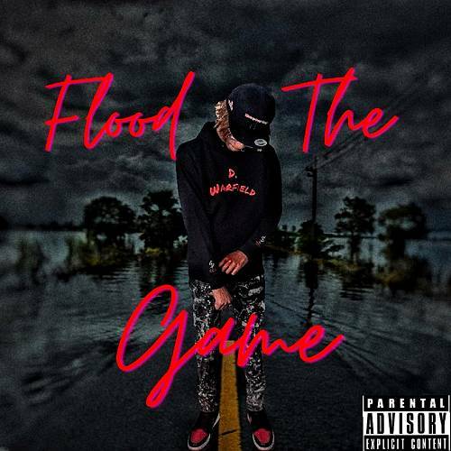 D. Warfield - Flood The Game cover