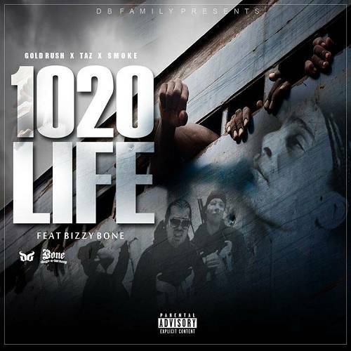 DB Family - 1020 Life cover