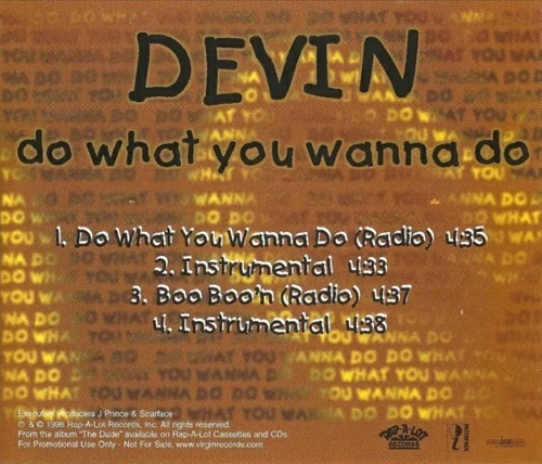 Devin - Do What You Wanna Do (CD Single, Promo) cover