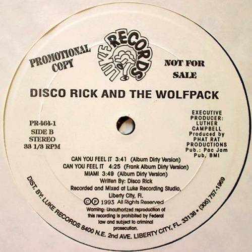 Disco Rick And The Wolf Pack - Can You Feel It (12'' Vinyl, 33 1-3 RPM, Promo) cover