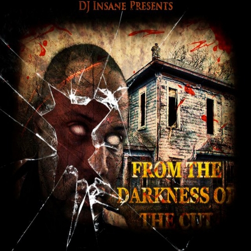 DJ Insane - From The Darkness Of The Cut cover