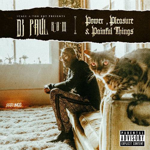 DJ Paul - Power, Pleasure & Painful Things cover