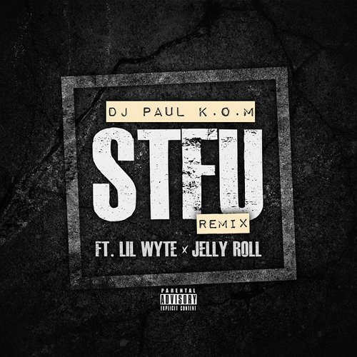 DJ Paul - STFU Remix cover