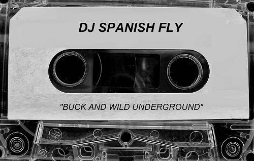 DJ Spanish Fly - Buck & Wild cover