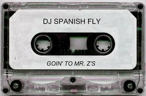 DJ Spanish Fly - Goin To Mr. Z`s cover