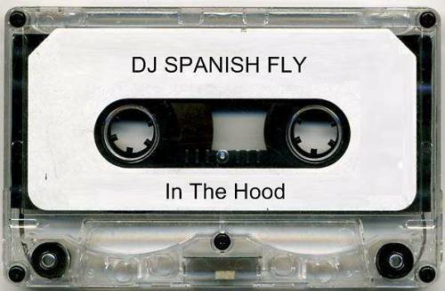 DJ Spanish Fly - In The Hood cover