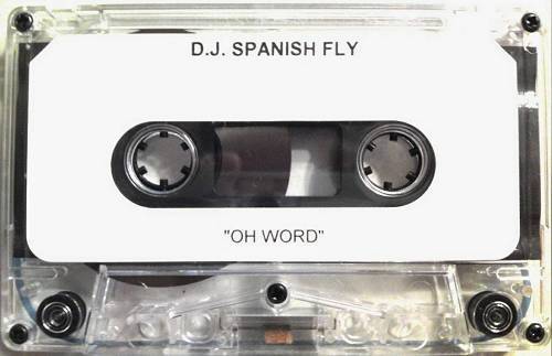DJ Spanish Fly - Oh Word cover