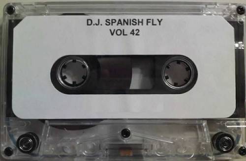 DJ Spanish Fly - Vol. 42 cover