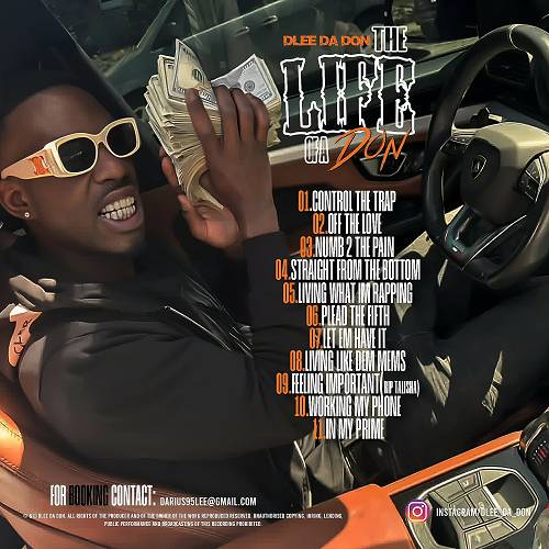 DLee Da Don - The Life Of A Don cover