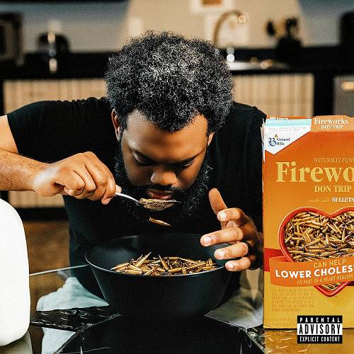 Don Trip - Fireworks cover