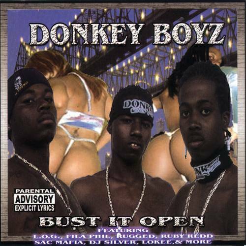 Donkey Boyz - Bust It Open cover