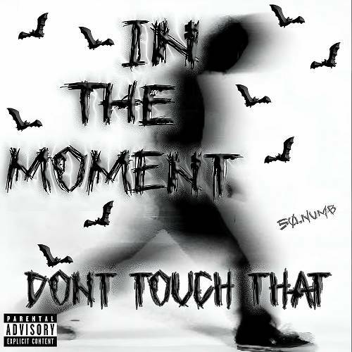DontTouchThat - In The Moment cover