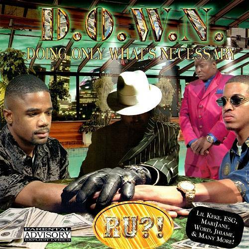 D.O.W.N. - Doing Only What`s Necessary cover