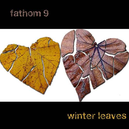 Fathom 9 - Winter Leaves cover