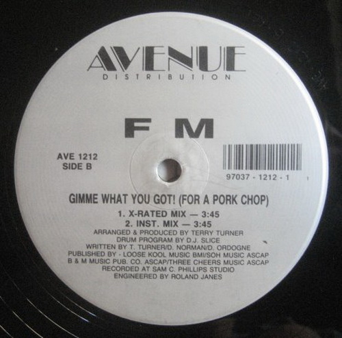 FM - Gimme What You Got! cover