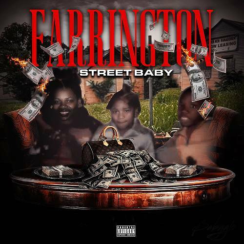 FSB Larry - Farrington Street Baby cover