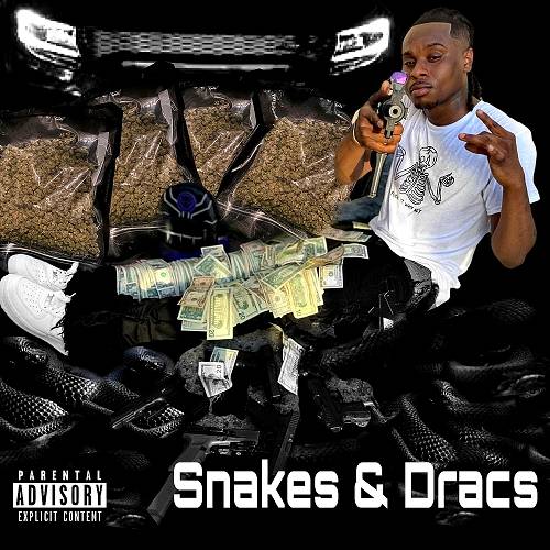 FSO Bro - Snakes & Dracs cover