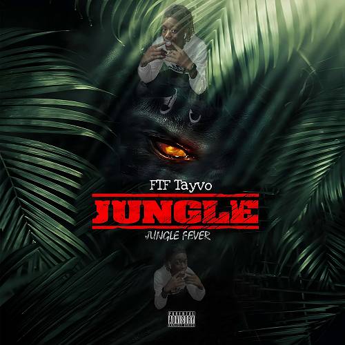 FTF Tayvo - Jungle Fever cover