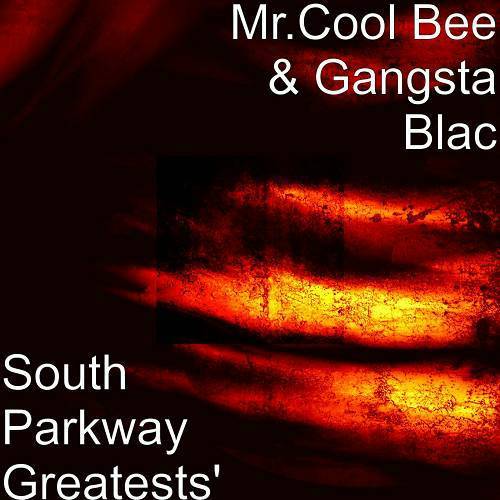 Mr. Cool Bee & Gangsta Blac - South Parkway Greatests cover